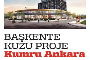 Kuzu Effect